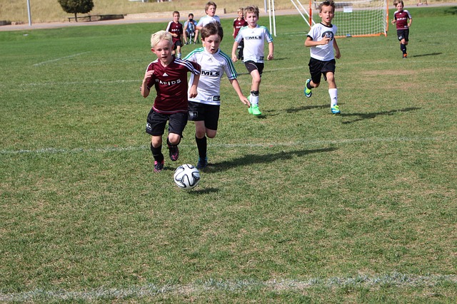 未来与中国 未来与中国