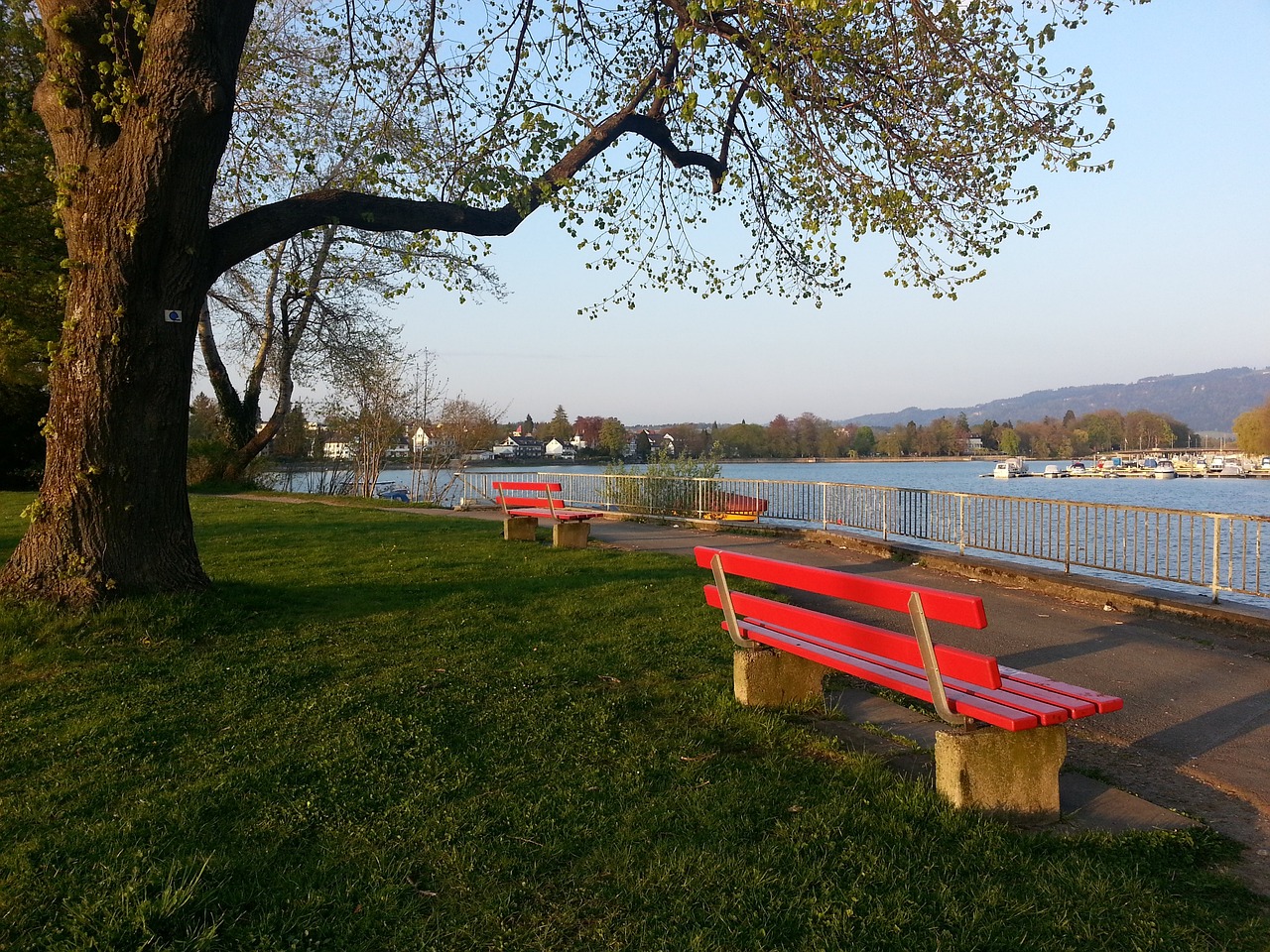 国家在各个 国家在各个