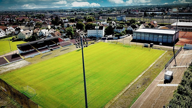 支持和信心 支持和信心