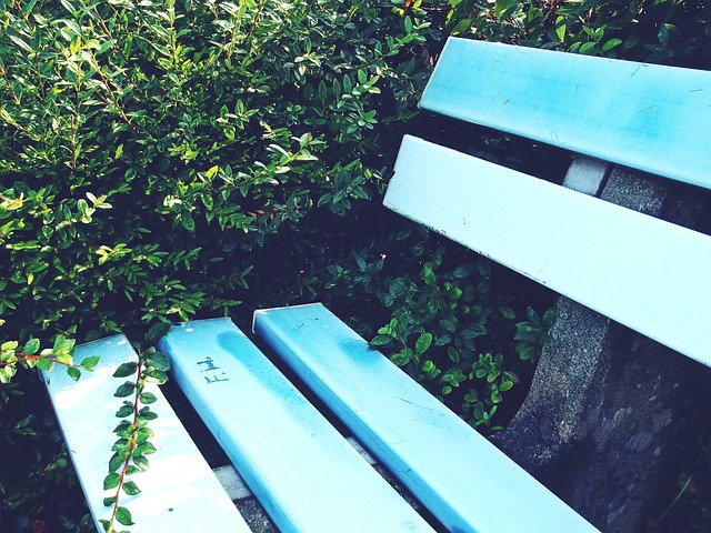 访时曾指出 访时曾指出