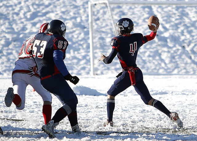 因素塑造了 因素塑造了