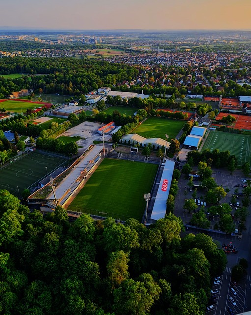 的迅速崛起 的迅速崛起