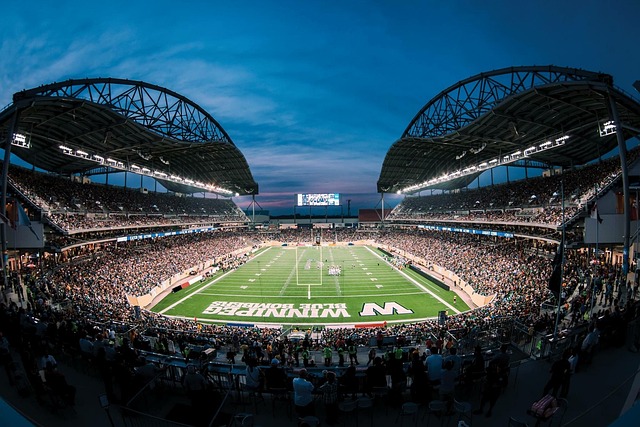 绿茵场上的 绿茵场上的