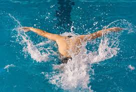 熊队在基本 熊队在基本